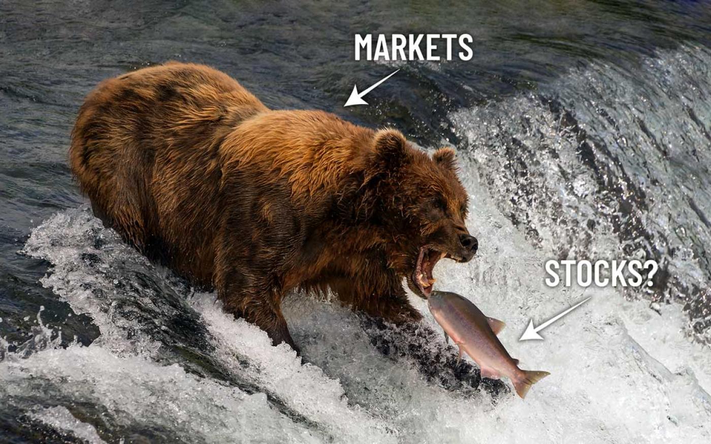 The Bear Market Is Finally Over | Vigil Wealth Management